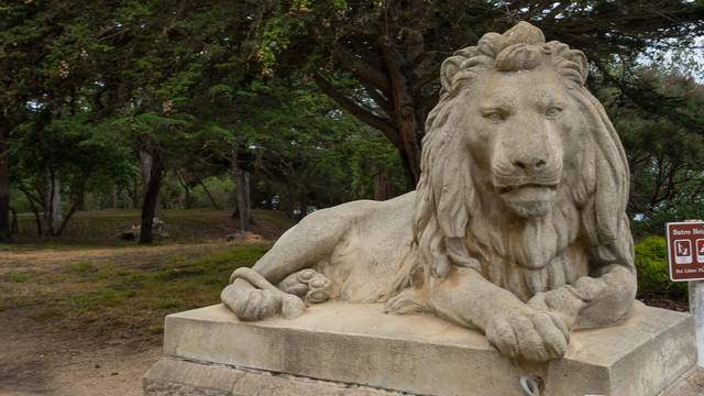 Lion statue at Sutro Heights Park