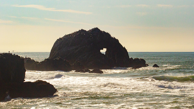 Seal Rocks seen in the Pacific Ocean near San Francisco's Lands End.