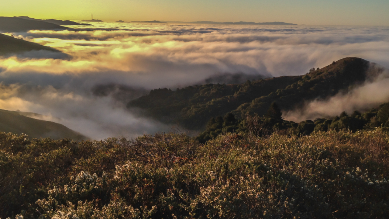 A_MARIN_131018_CRi_2_2x1.jpg Sunlight provides a heavenly view