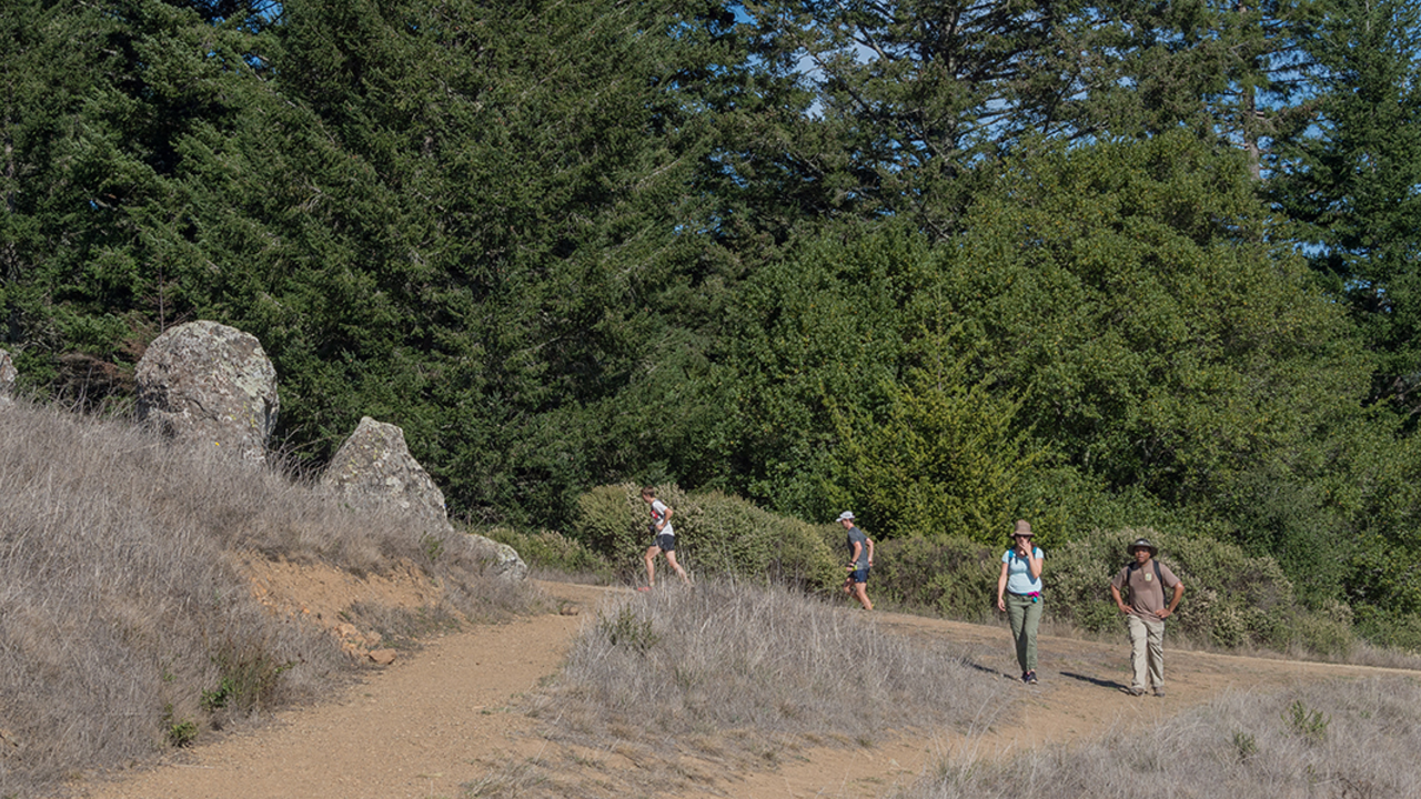 A_MOTA_141026_ATB_118_2x1.jpg Old Mine Trail