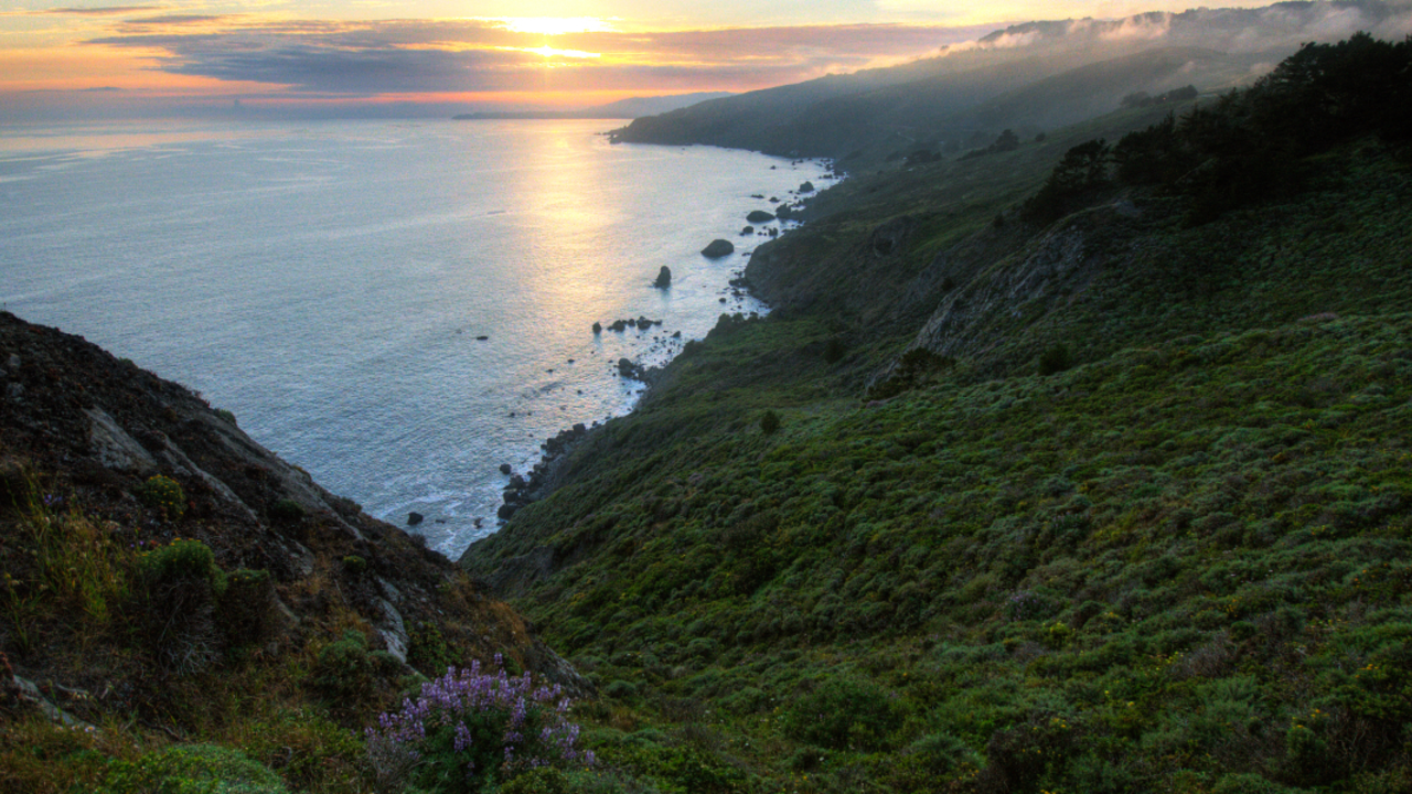A_MUBE_20080102_MCu_1_2x1.jpg Views from Muir Beach Overlook