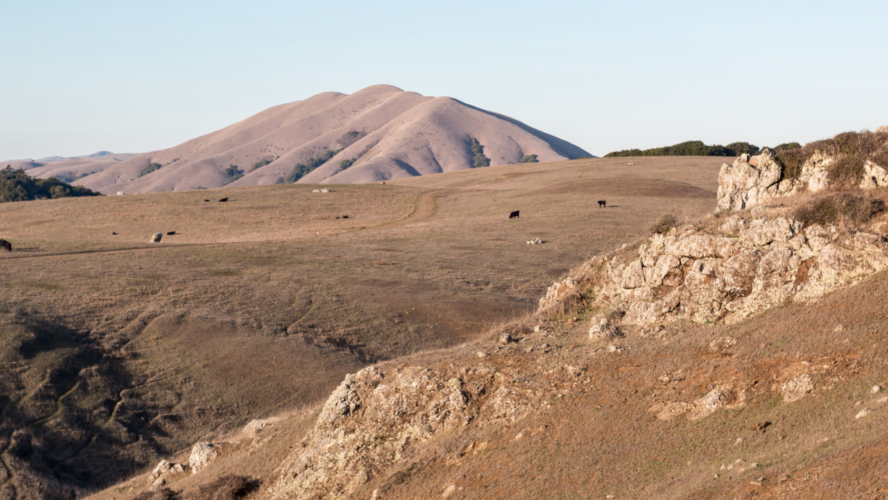 BORI_RCW_15112923_2x1.jpg Bolinas Ridge