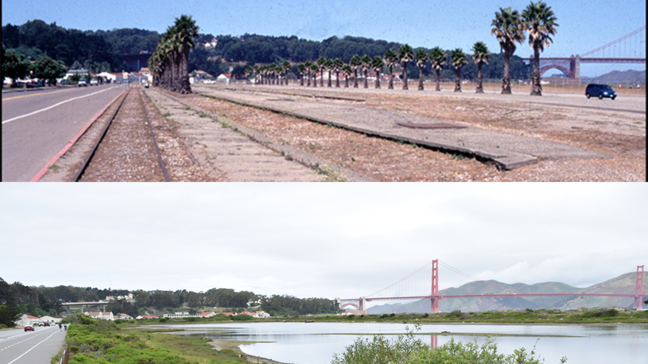 Crissy Field before and after restoration Crissy Field before and after restoration