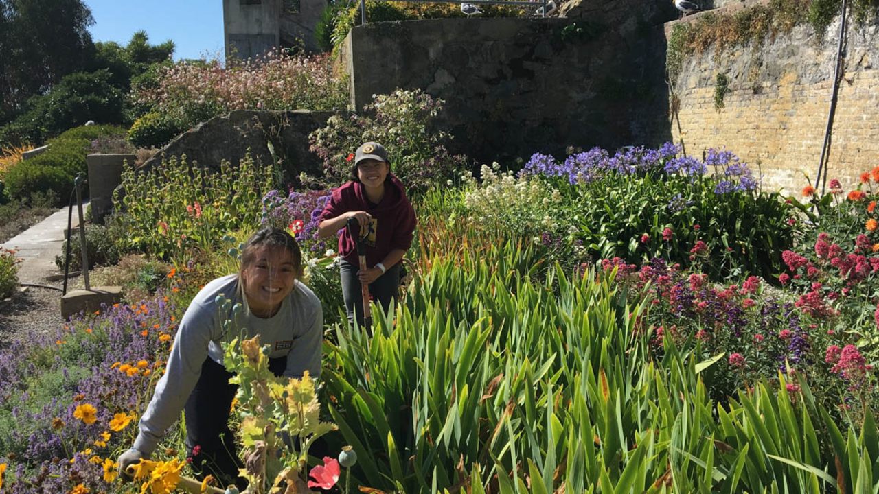 IMG_3666-2_feature.jpg Alcatraz Historic Gardens Volunteers