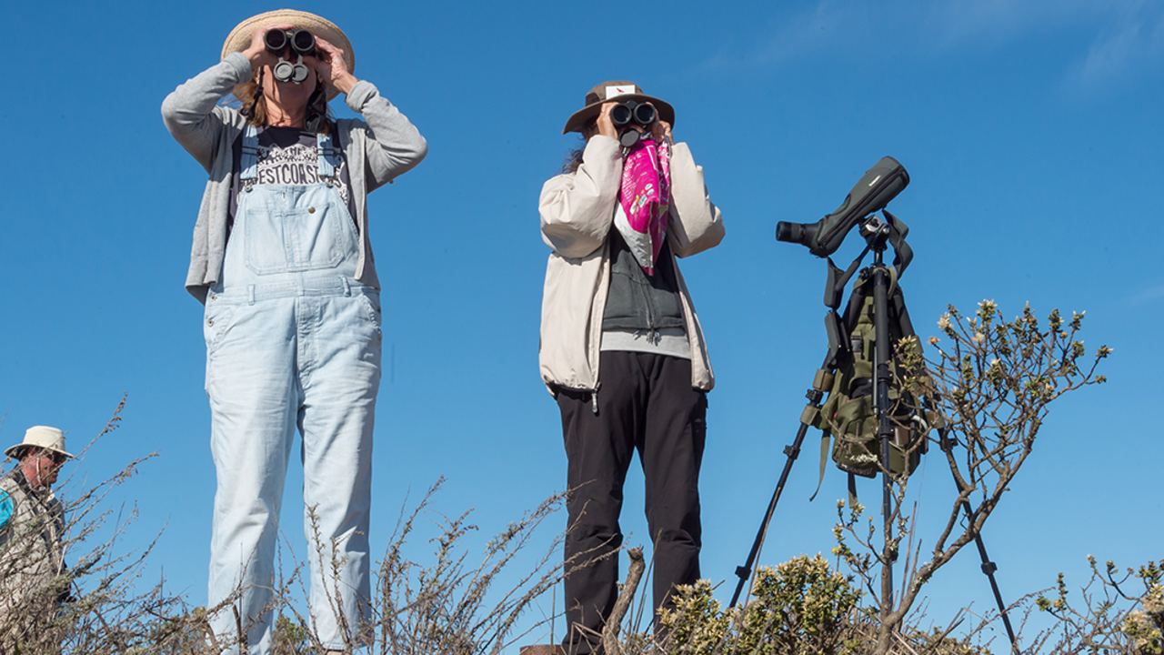 MAHE_161019_ATB_31_2x1.jpg bird watching