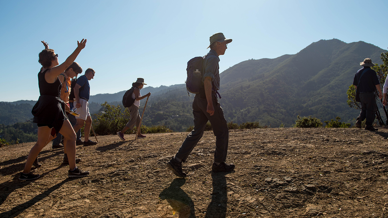 Mount Tam Walk Members of One Tam take a guided walk