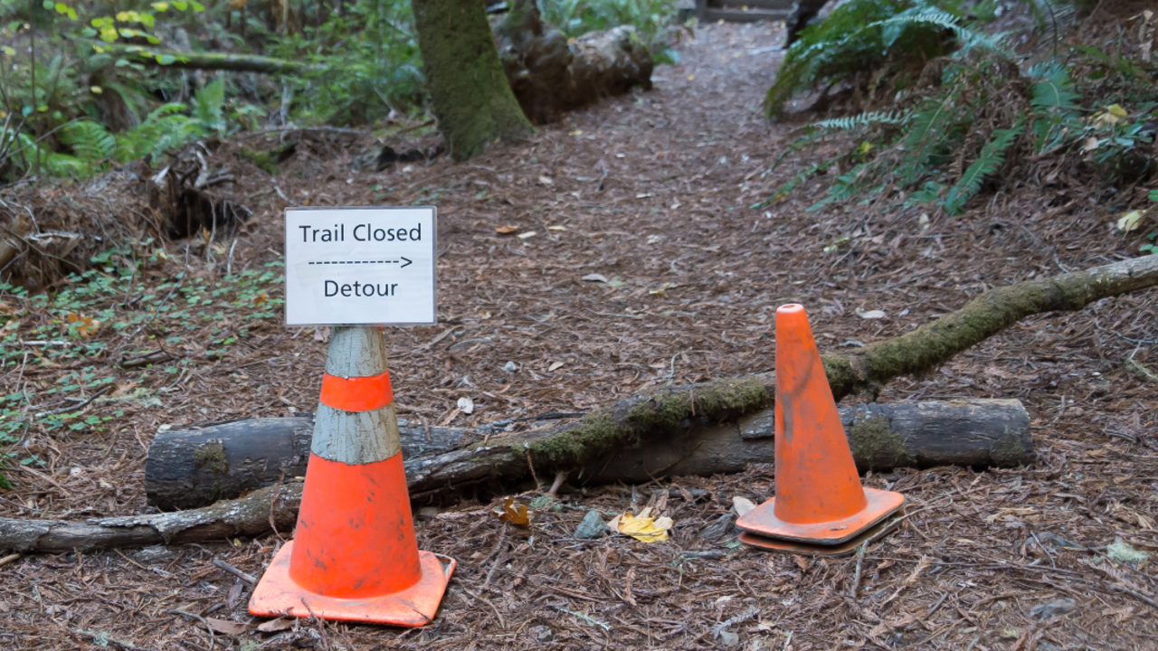 MUWO_171210_ATB_22_2x1.jpg Muir Woods trail closure signage