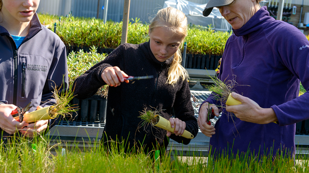 Native Plant Nursery PRSF_170419_PMM_2565_2x1.jpg