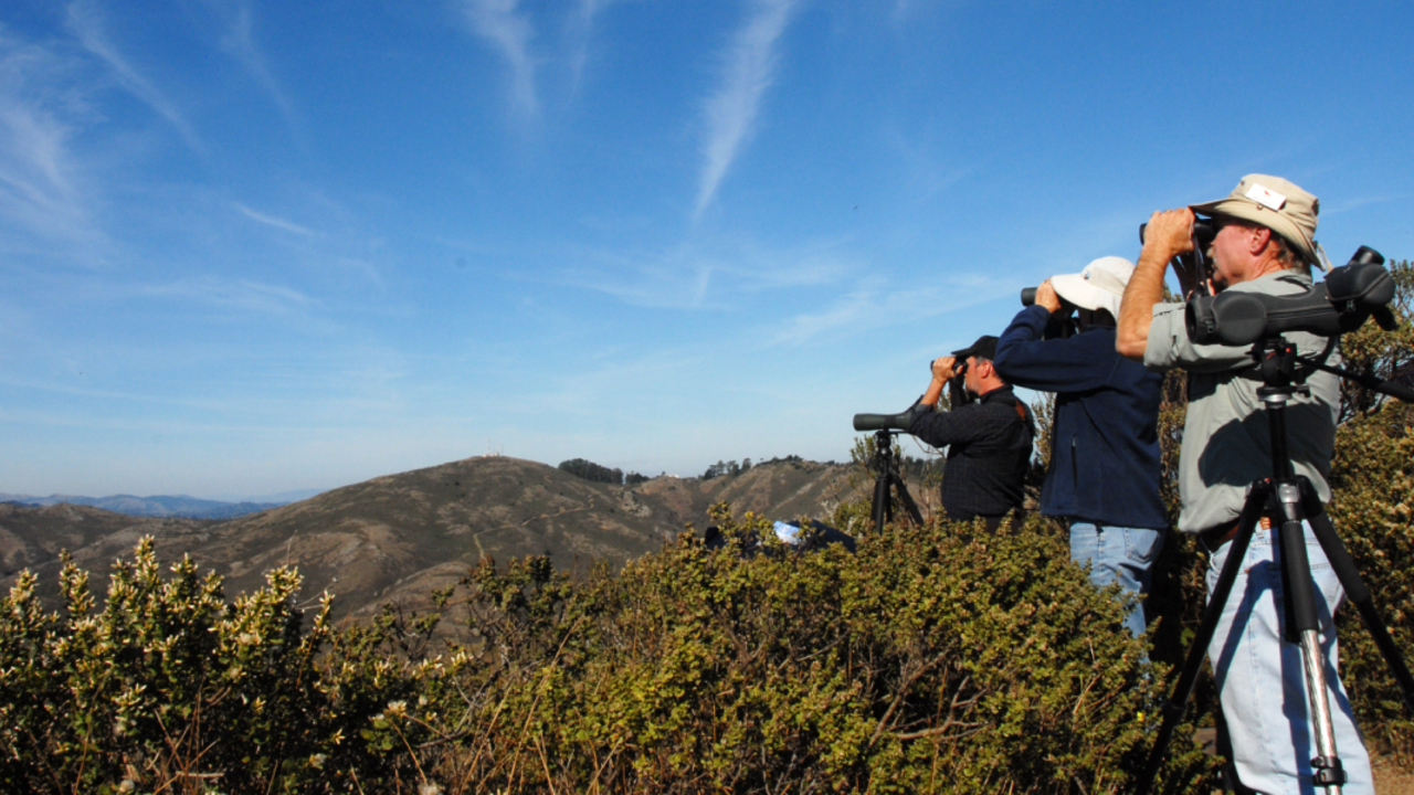 A_MAHE_111027_JWe_27_2x1.jpg Spectators try to catch a glimpse of a raptor