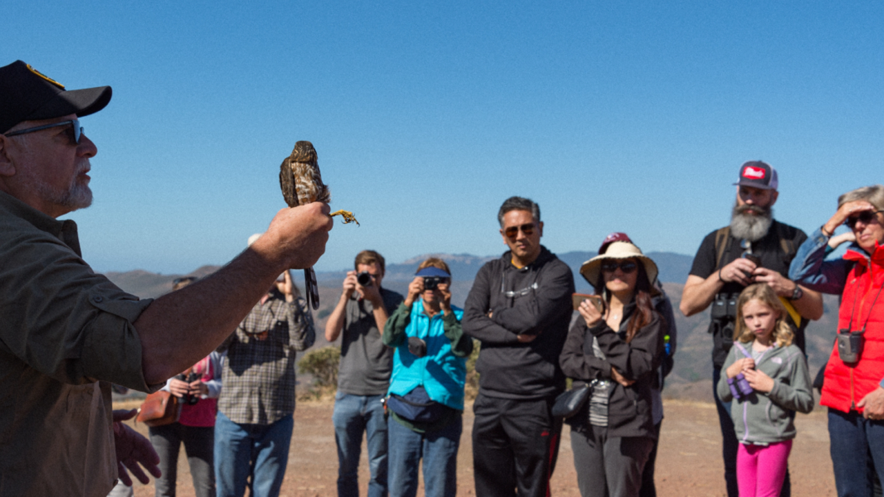 A_MAHE_171021_ATB_160_2x1.jpg A personal experience with a hawk