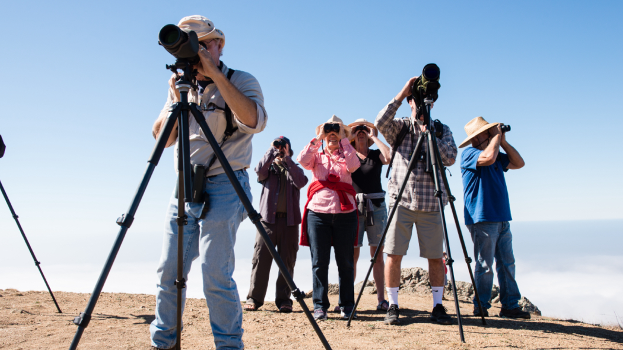 MOTA_151003_PMM_0337_2x1.jpg On the lookout for hawks passing by