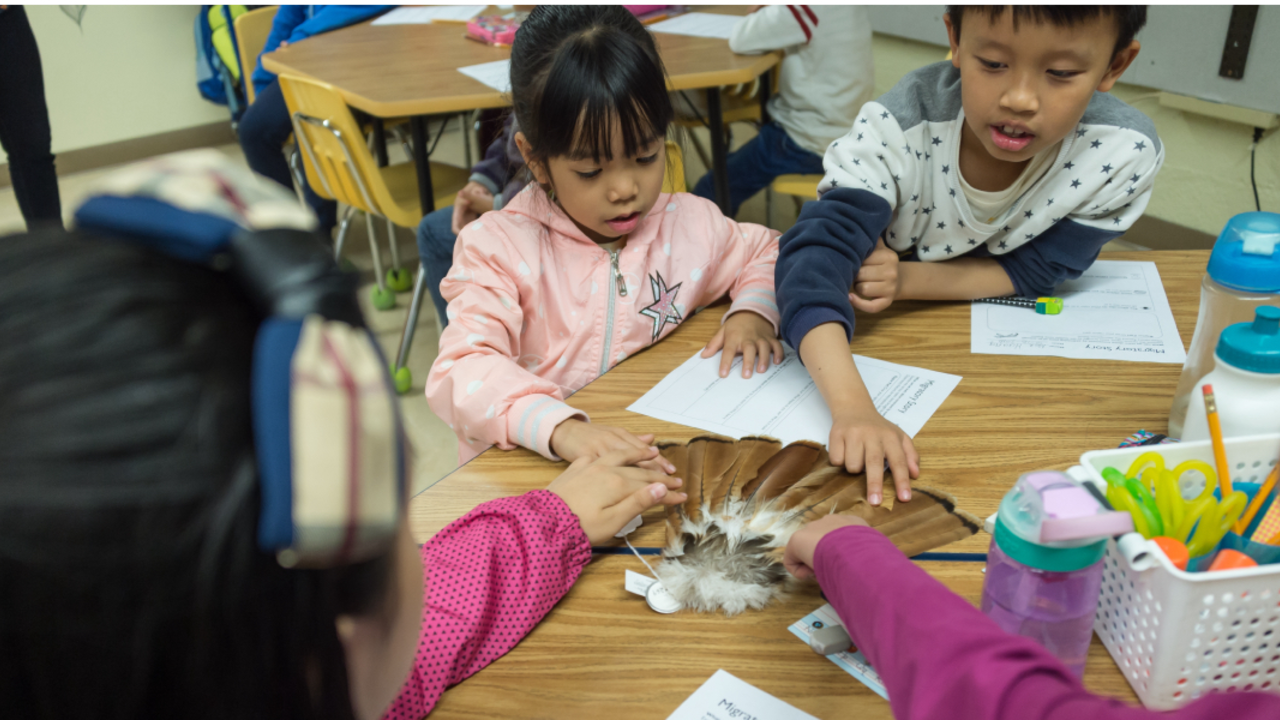 SF_161018_ABT_67_2x1.jpg Students get up-close and personal with hawk feathers