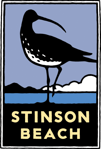 Stinson Beach by Michael Schwab Schwab image of a long-billed shorebird walking on a beach with hills and clouds in the distance