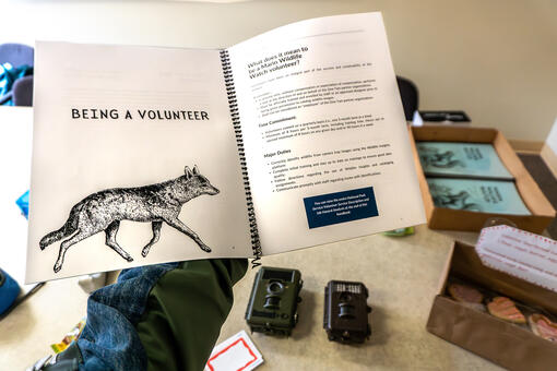 An image of the volunteer guide for Marin Wildlife Watch.