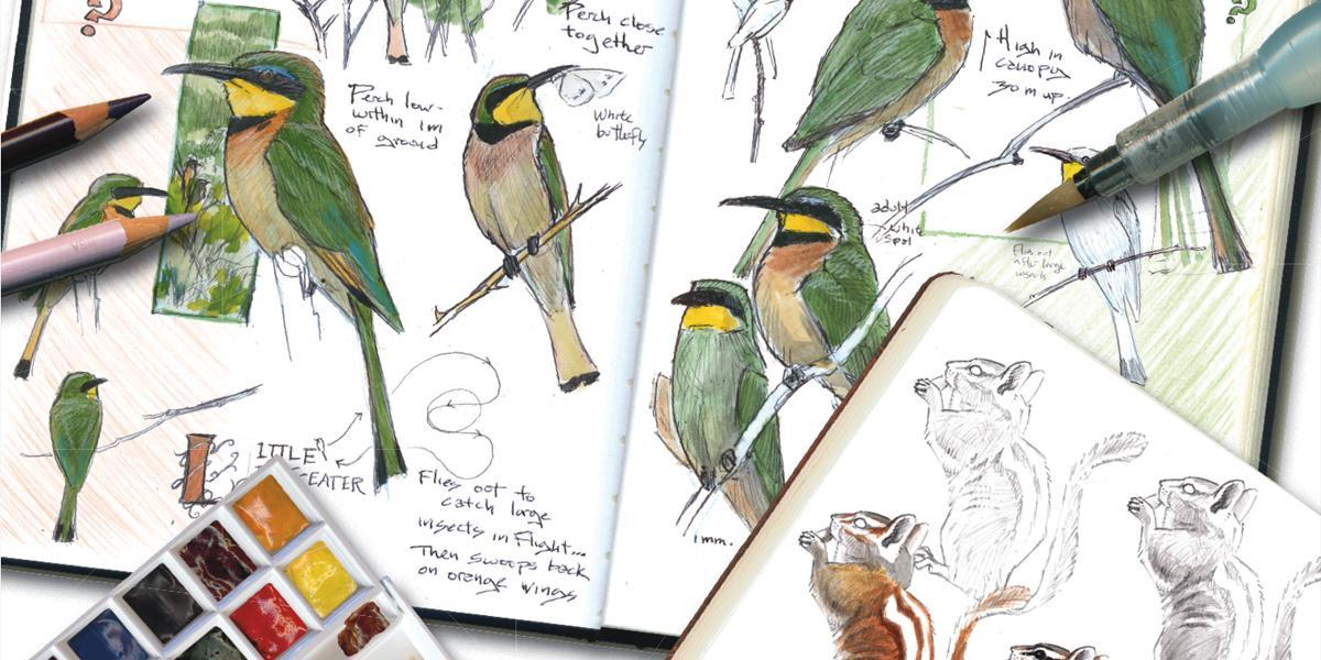 Easy Watercolor Plants, Watercolor Sketchbook Painting Ideas