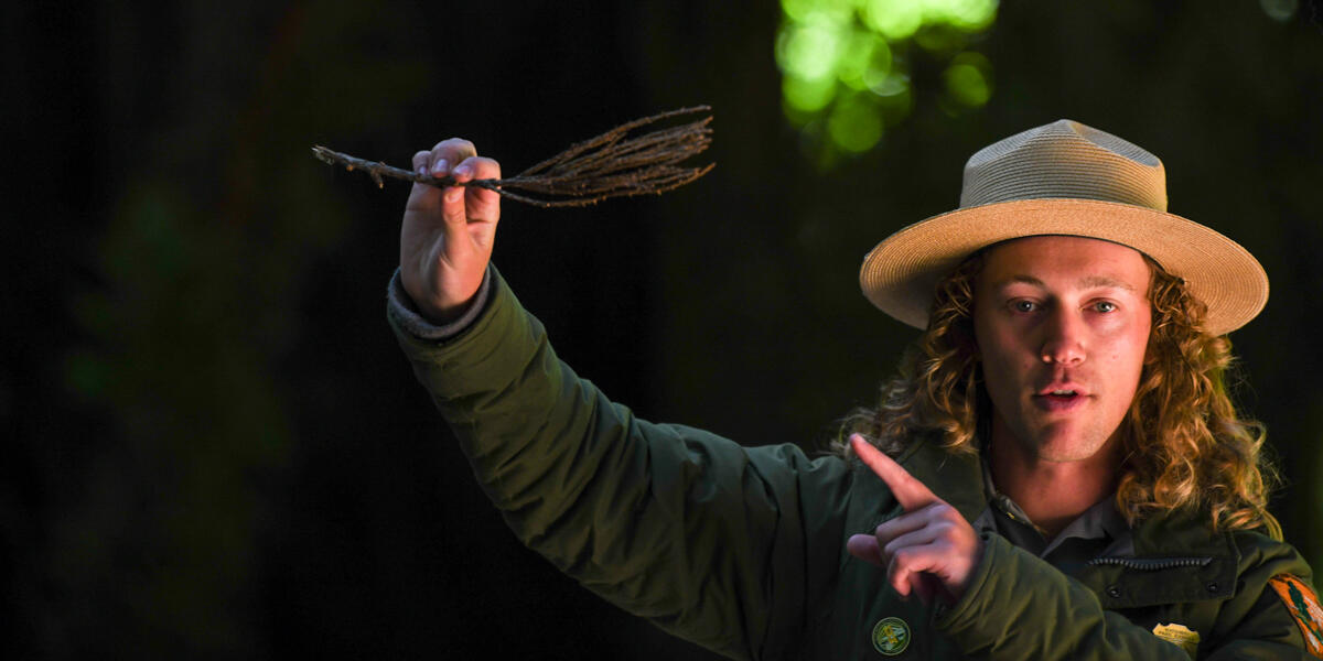 Ranger Jace is holding up a a branch with redwood needles and pointing to it in their uniform.