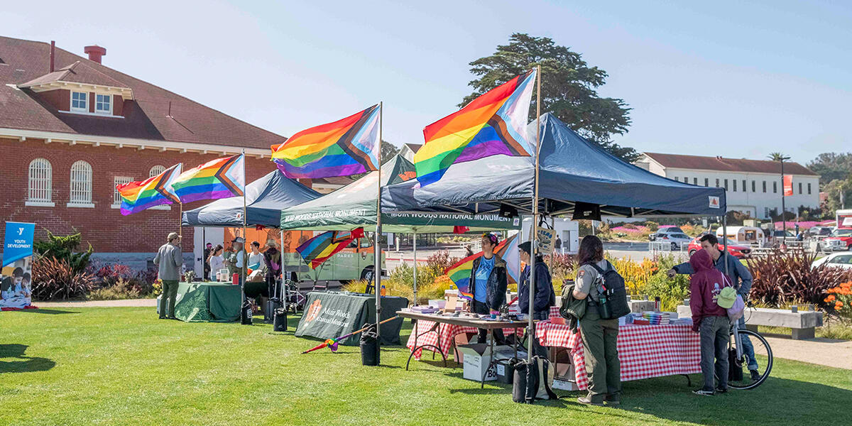 Rainbow flags wave at the Pride in the Presidio event on Saturday, June 1st, 2024.