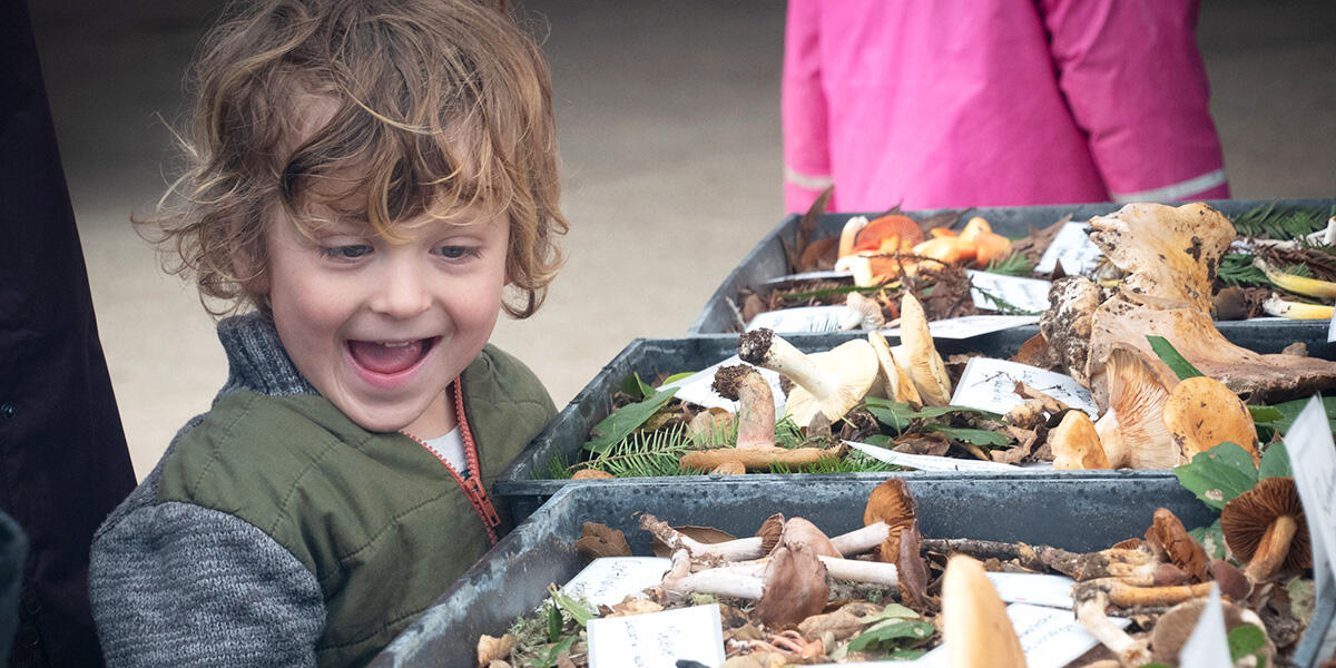 A young person smiling at a Fungi Fair at Presidio Tunnel Tops.