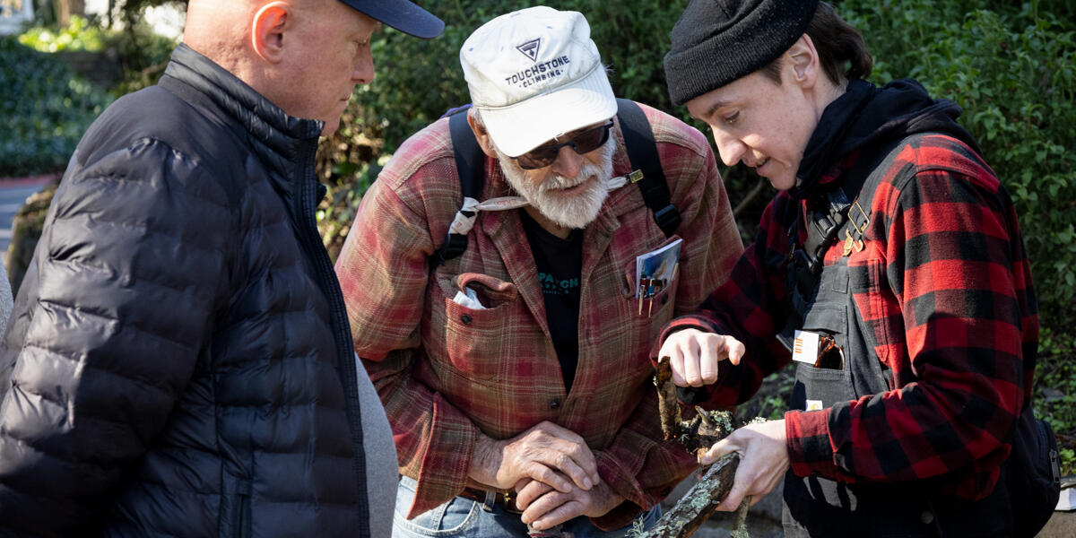 Parks Conservancy staff and Fungi Walk participants studying the lichen found on a branch in the Presidio.