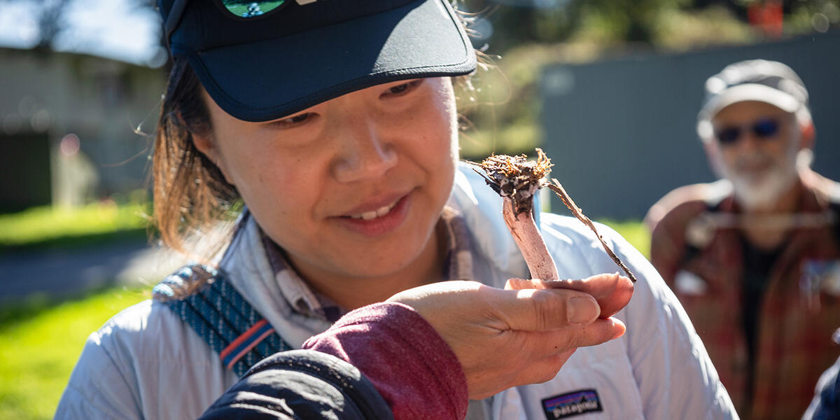 A participant checks out a mushroom at a Fungi Walk in the Presidio.