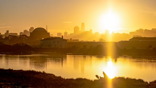 A sunrise over Crissy Marsh turns the landscape golden, in view is the silhouett