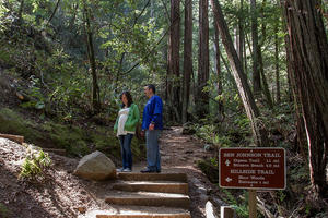 Ben Johnson Trail, Muir Woods