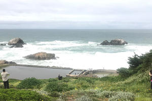 a hill of grass and flowers leads the ruins of Sutro Baths at Lands End overlooking the Pacific Ocean