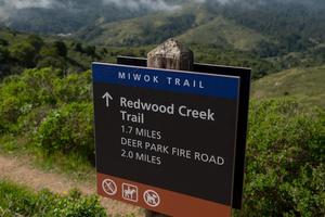 Trail signs along the Dias Ridge Trail