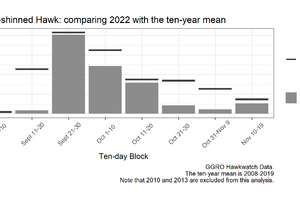 Sharp-shinned hawk: comparing 2022 with the ten-year mean