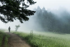 Foggy trail on Mt. Tam