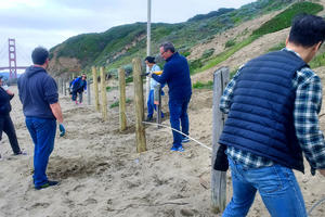 A group of volunteers replacing post and cable fencing at Baker Beach.