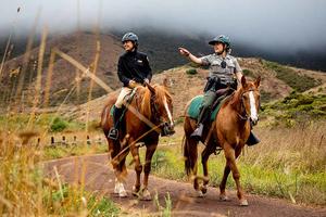 Horse Mounted Patrol out in the parks.
