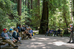 Park staff sharing upcoming projects in Muir Woods