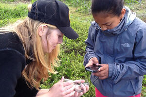 youth using iNaturalist to identify a plant