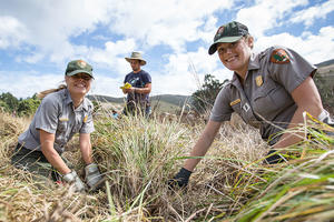 National Park Rangers at Work in Tennessee Valley