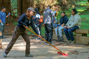 Volunteers at work cleaning the boardwalk at Muir Woods