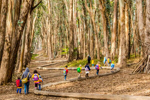 A group of children walk on a winding path of logs, an art installation by Andy Goldsworthy titled Woodline.