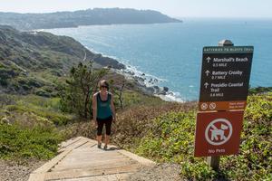 Box steps challenge hikers along the Batteries to Bluffs Trail
