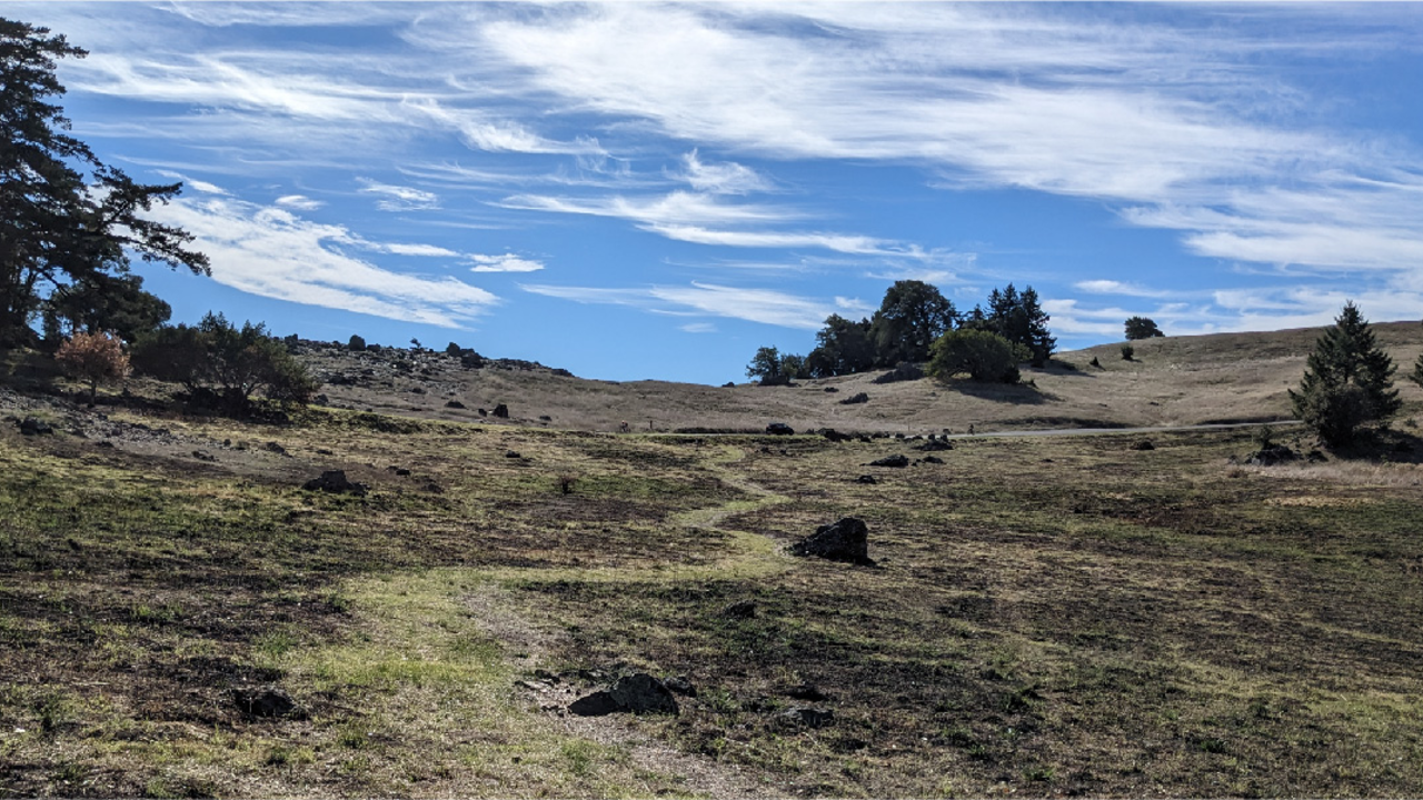 Rock Spring landscape after prescribed burn Rock Spring landscape