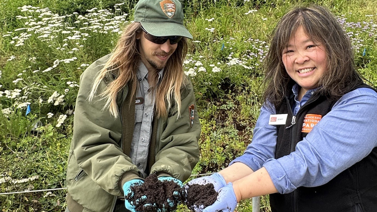 Coffee grounds are being used in a special planting project in the GGNRA Two people hold up coffee grounds for a park project