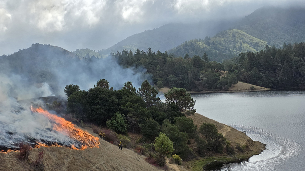 A prescribed burn near Bon Tempe Lake on Mt. Tamalpais. A prescribed burn near Bon Tempe Lake on Mt. Tamalpais.