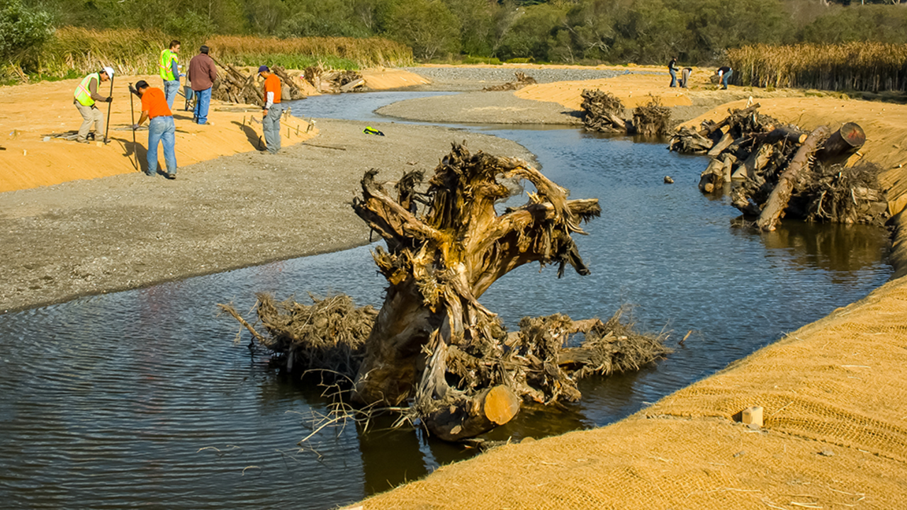 A_MAHE_101103_AJ_012_2x1.jpg Redwood Creek restoration.
