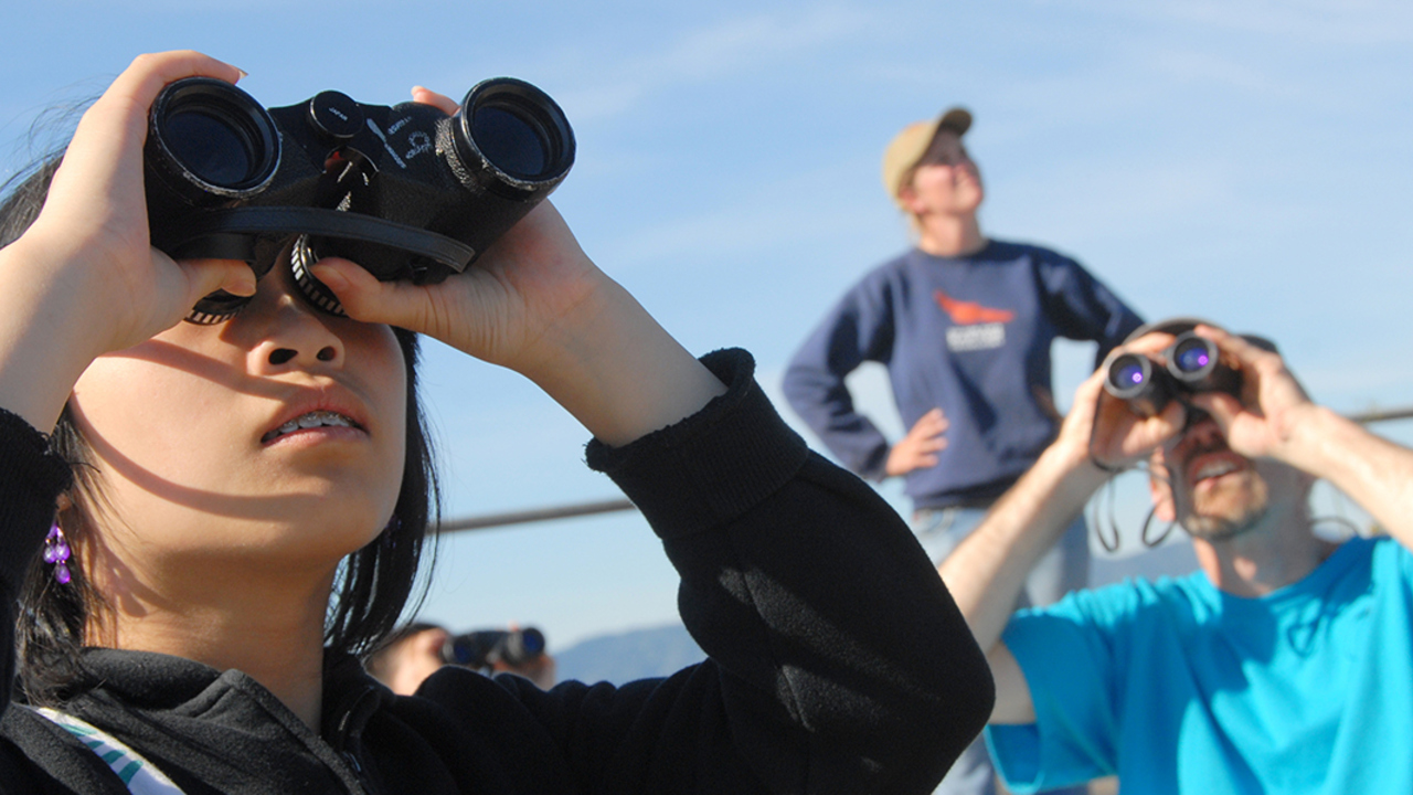 GGRO Hawkwatch program person with binoculars