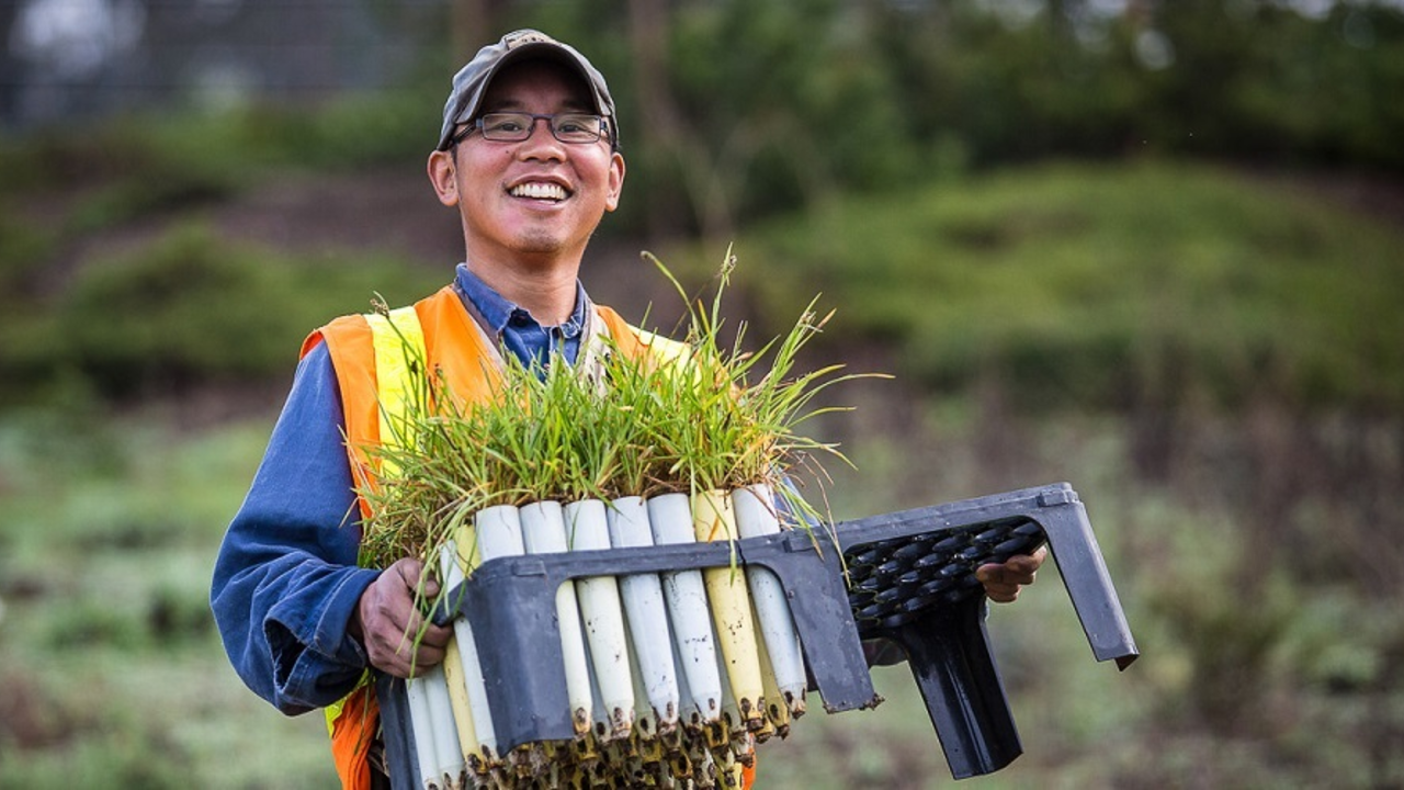 Volunteer at the Presidio Volunteer at the Presidio