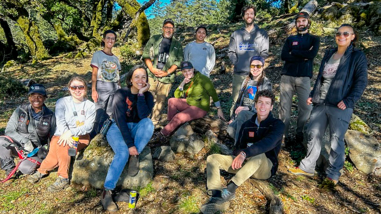 Interns, Fellows and Staff on Mount Tam in 2023. Interns, Fellows and Staff from the Community Science and Conservation team collecting data on Mount Tam