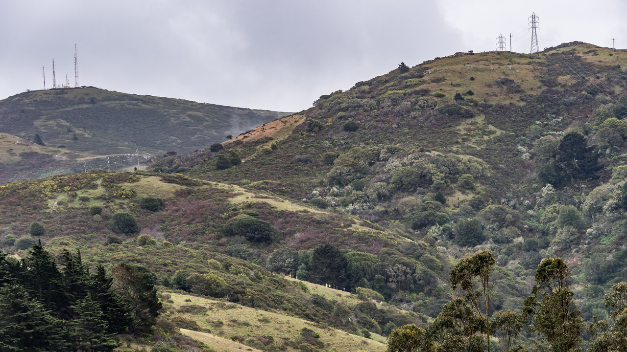 Alta Trail Alta Trail