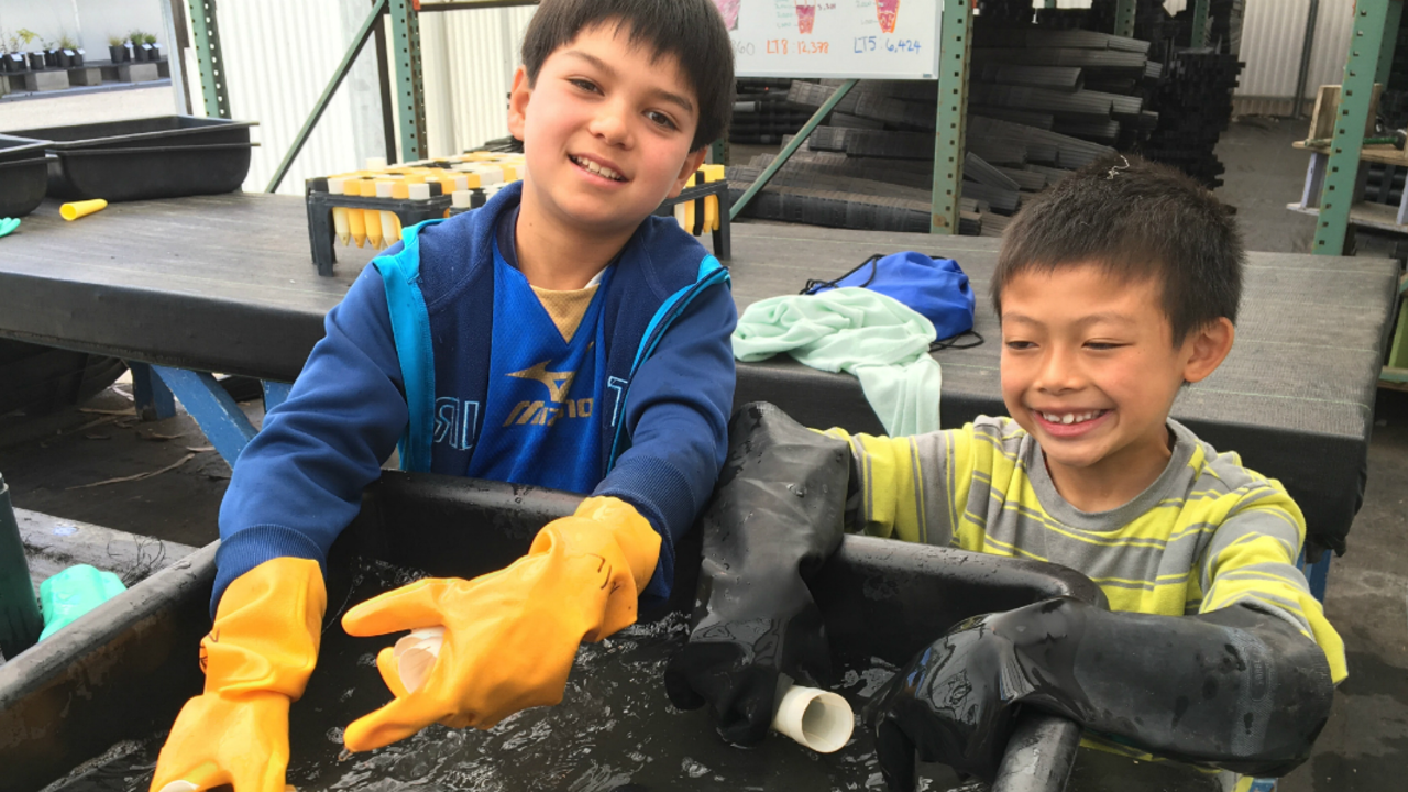 Young people help wash pots Young people help wash pots