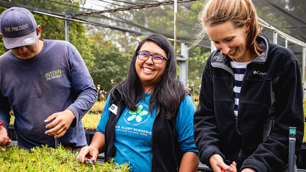 Staff and volunteers at the Presidio Native Plant Nursery. Staff and volunteers at the Presidio Native Plant Nursery.
