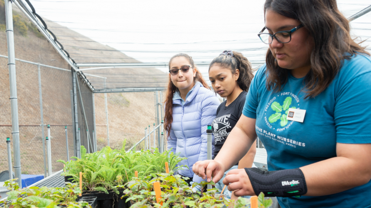 Students check on plants Students check on plants at the Oceana High School Nursery
