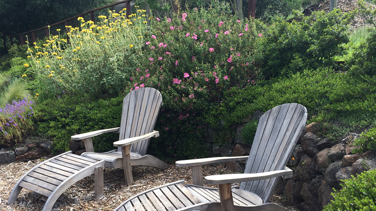 Drought Tolerant Native Plant Gardening Drought Tolerant Native Plant Gardening